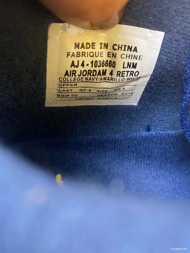 4 Michigan Jordan Air (PE) Retro AJ4-1036660 1209